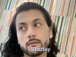 Mintboy