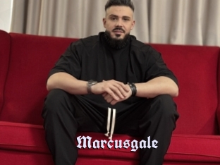 Marcusgale