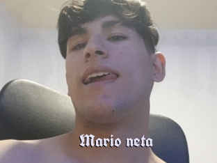 Mario_neta