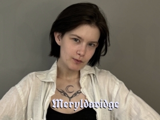 Meryldavidge