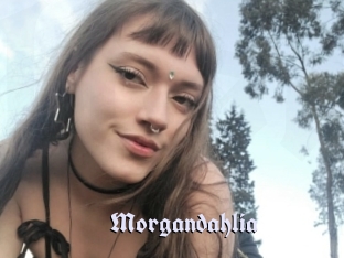 Morgandahlia