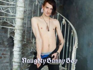 NaughtyBunnyBoy