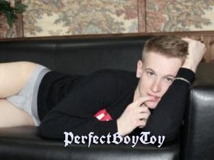 PerfectBoyToy