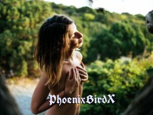 PhoenixBirdX