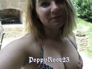 PoppyRose23
