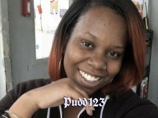 Pudd123