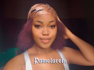 Pamelarein