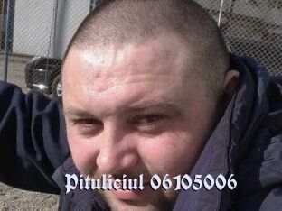 Pituliciul-06105006