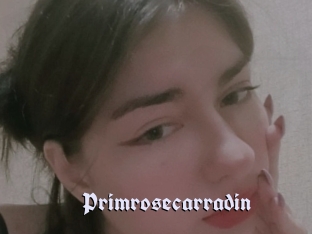 Primrosecarradin