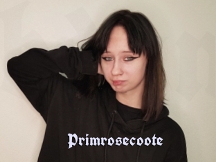 Primrosecoote