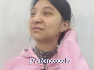 Prudencedeeks