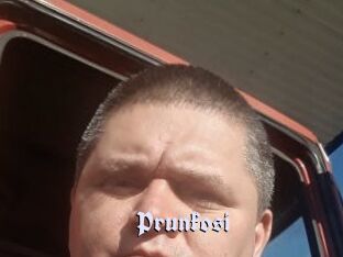 Prunkosi