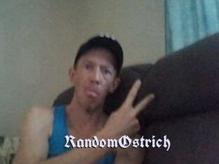 RandomOstrich
