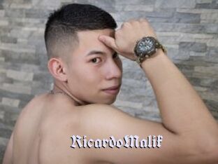 RicardoMalik