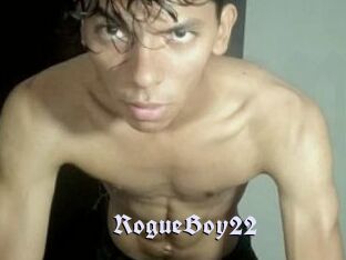 RogueBoy22