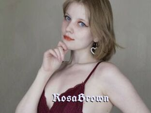 RosaBrown