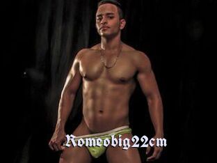 Romeobig22cm