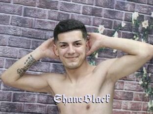 ShaneBlack