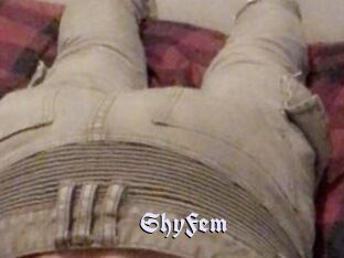 ShyFem