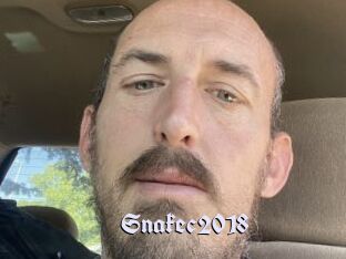 Snakec2018