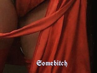 Somebitch