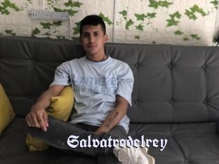 Salvatredelrey