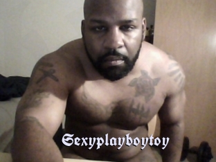sexyplayboytoy Bdsm Blog