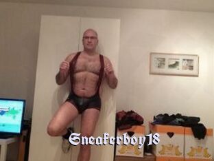 Sneakerboy18