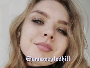 Synnovegledhill