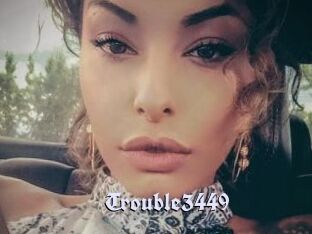 Trouble3449