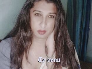 Ts_sonu