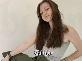Taitgee