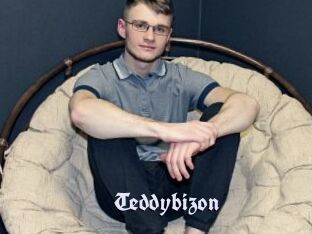 Teddybizon