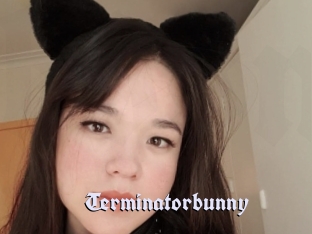 Terminatorbunny