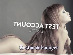 Testmodelsawyer