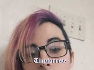 Tinytarrow