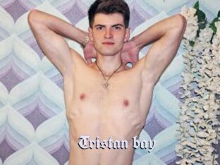 Tristan_bay