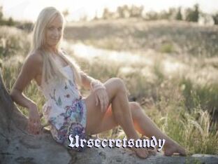 Ursecretsandy