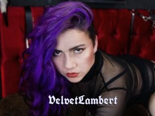 VelvetLambert