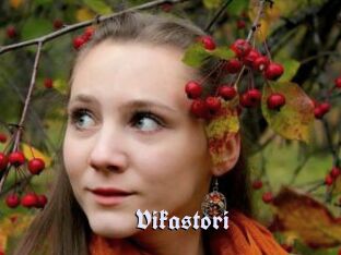 Vikastori