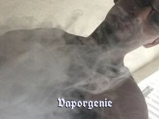 Vapor_genie