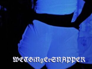 WETGiNgErSNAPPER
