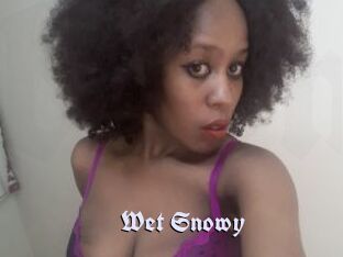 Wet_Snowy