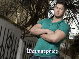 Waynneprice