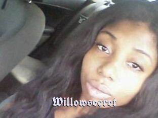 Willow_secret