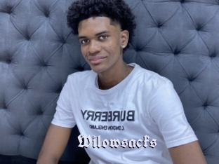 Wilowsacks