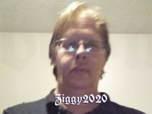 Ziggy2020