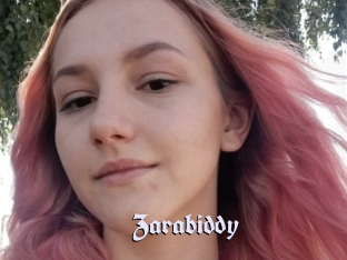 Zarabiddy